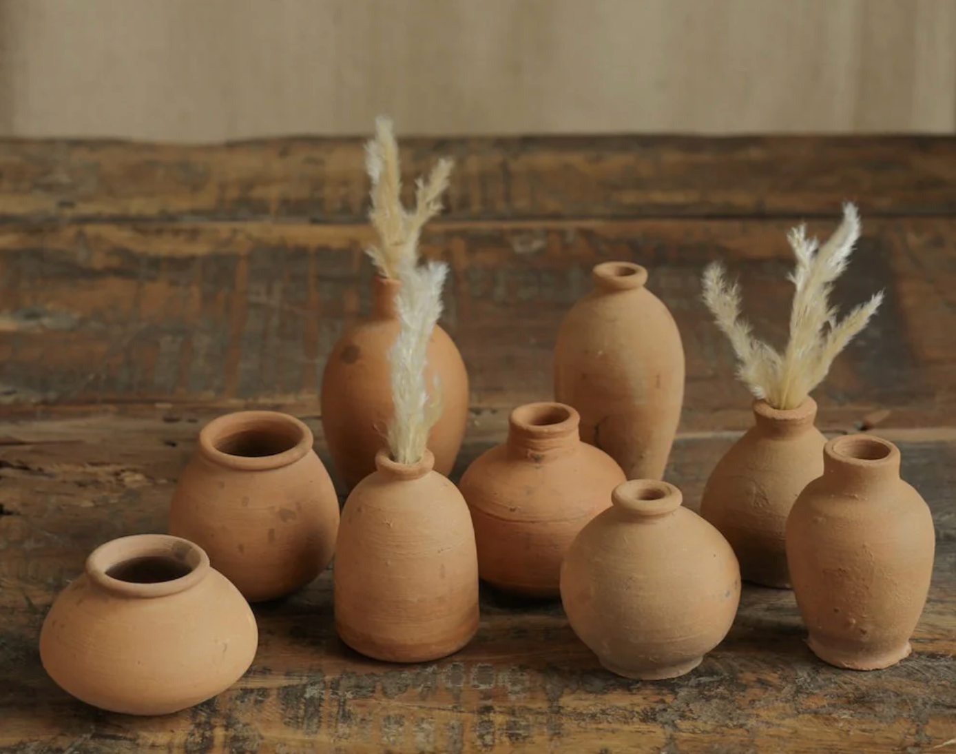 Terracotta Planters vs Ceramic Pots: Which One Is Actually Better for Your Plants?