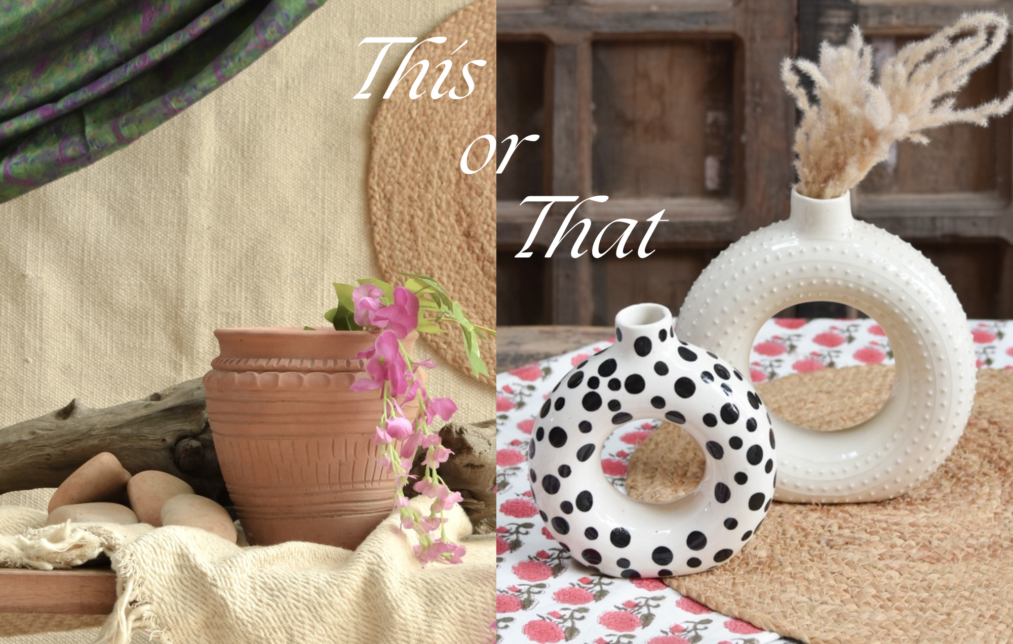 Terracotta Planters vs Ceramic Pots: Which One Is Actually Better for Your Plants?