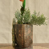 Ekaurr Wooden Planter Decorative