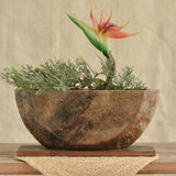 Ekaurr Wooden Planter Decorative