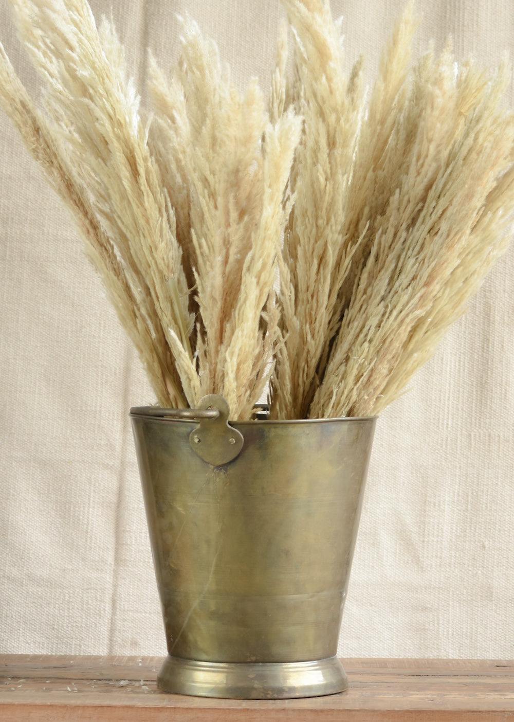 Ekaurr Brass Bucket Medium styled as an interior plant holder – heritage vintage brass vessel with aged surface, versatile sustainable home decor