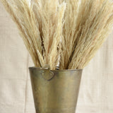 Ekaurr Brass Bucket Medium styled as an interior plant holder – heritage vintage brass vessel with aged surface, versatile sustainable home decor