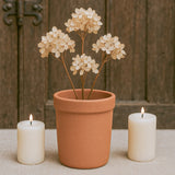 Ekaurr Classic Ringed Rim Terracotta Planter set of 3, handmade by rural Indian women artisans with traditional ringed rim design, sustainable earthy plant pots