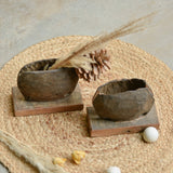 Ekaurr Set of 2 Cowbell Planter Small vintage brass cowbells repurposed as compact rustic planters, upcycled artisan found object plant pots for small succulents dried botanicals or home decor