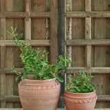 Ekaurr Dholak Set Planters in Tall and Short terracotta, drum-shaped handmade Indian pots for planters or decorative display, sold as a set of two