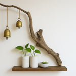 Ekaurr Drift Bell Harmony Shelf handcrafted driftwood floating shelf with 2 hanging brass bells, artisan wall shelf combining natural wood texture with gentle melodic brass detail for bohemian and rustic home styling
