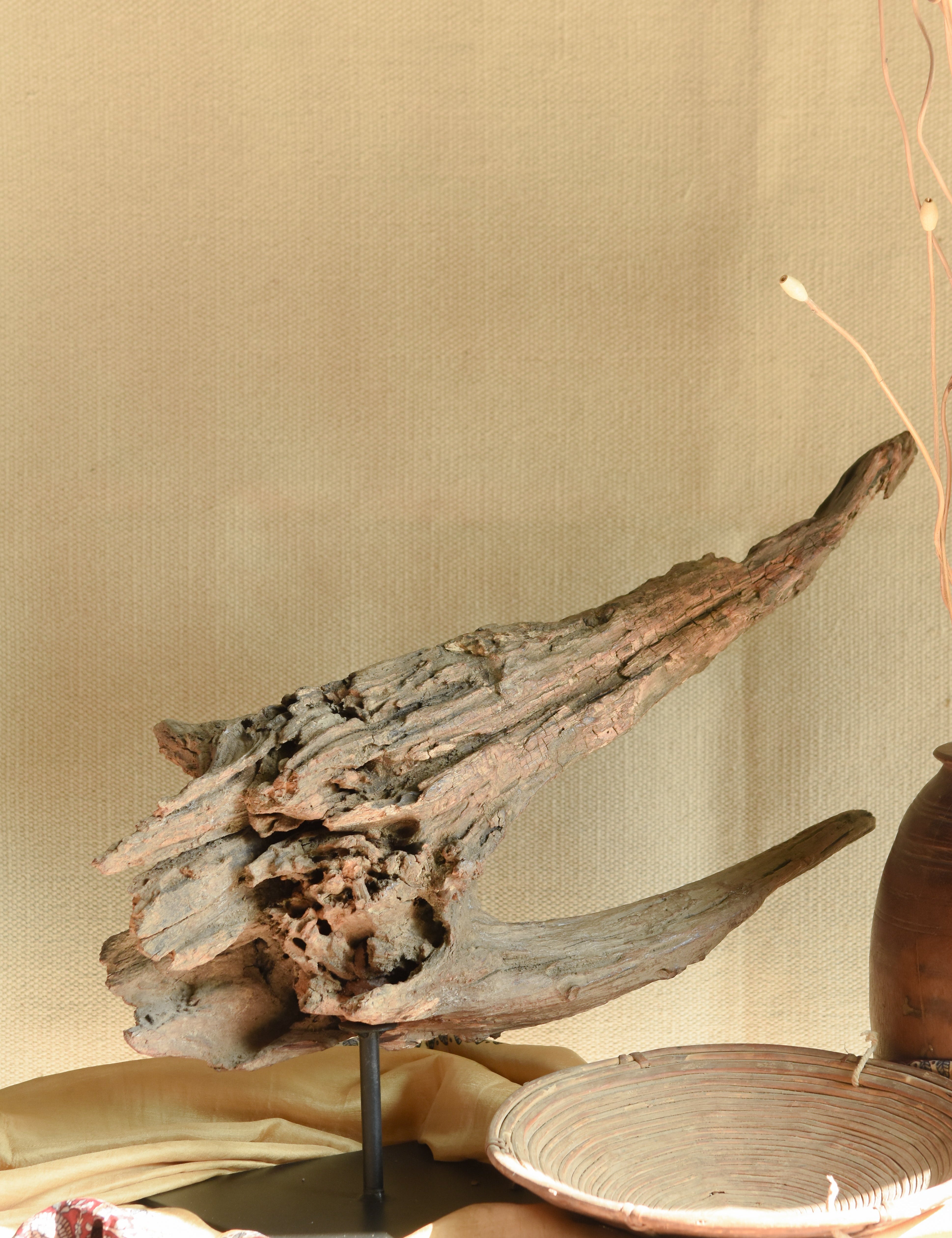 Ekaurr Driftwood Sculpture on Metal Stand – raw weathered driftwood with organic contours and earth-toned patina, gallery-worthy natural art piece