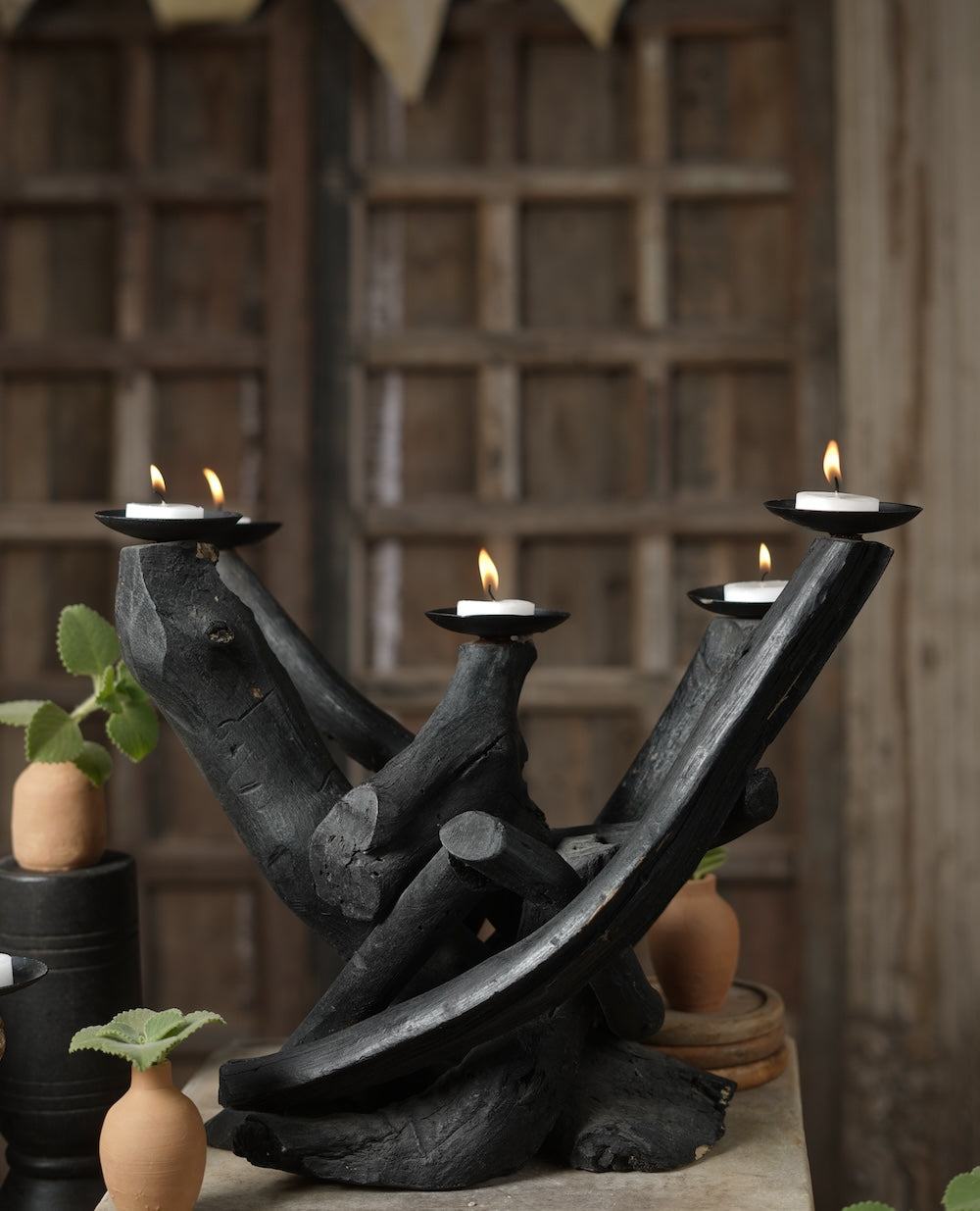 Close-up of aged driftwood texture on Ekaurr Eternal Tide Candle Tree – organic natural detail