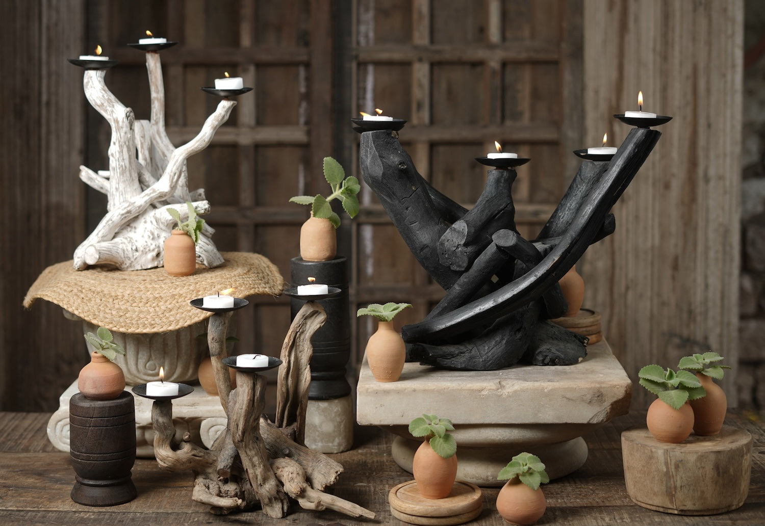 Ekaurr Eternal Tide large Driftwood Candle Tree – 12-candle sculptural statement piece for living spaces