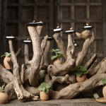 Ekaurr Eternal Tide Driftwood Candle Tree with all candles glowing, styled as a dining table centerpiece