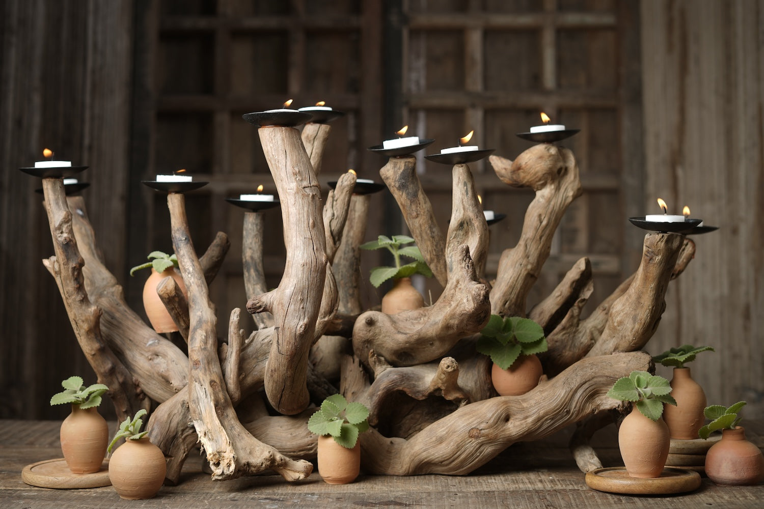 Ekaurr Eternal Tide Driftwood Candle Tree with all candles glowing, styled as a dining table centerpiece