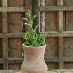 Ekaurr Ghanti-Shape Terracotta Planter handmade by rural Indian women artisans in playful bell-inspired form, natural earthy terracotta for indoor or outdoor planters