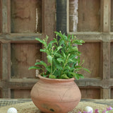 Ekaurr Ghat Aakar Planter handmade terracotta planter in traditional Indian ghat vessel form, earthy organic planting pot by rural Indian artisans