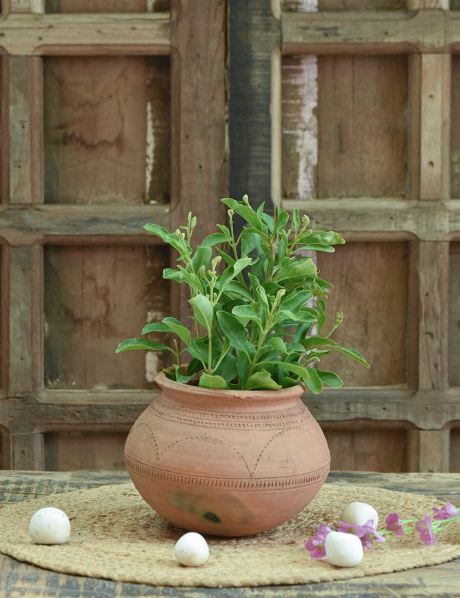 Ekaurr Ghat Aakar Planter handmade terracotta planter in traditional Indian ghat vessel form, earthy organic planting pot by rural Indian artisans