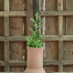 Ekaurr Kalash-Base Terracotta Planter handmade by rural Indian women artisans in traditional kalash-base form, earthy natural terracotta finish for indoor or outdoor planting