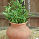 Ekaurr Kalash-Neck Planter handmade terracotta pot with traditional kalash-inspired neck and rounded body, handcrafted by Indian artisans for indoor or outdoor planting