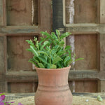 Ekaurr Matiya Classic Terracotta Planter handcrafted by rural Indian women artisans in natural earthy tone, unique shaped pot for real or faux plants