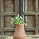 Ekaurr Matka Inspired Curve Terracotta Pot handmade by rural Indian women artisans with a gentle curved matka silhouette, natural earthy finish for plants or decorative display