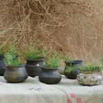Ekaurr The Matka Tree overhead view showing the stone ring base and arrangement of 100 handcrafted vintage Koyla terracotta pots in a natural outdoor setting