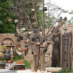 Ekaurr The Matka Tree living tree planted in a stone ring base surrounded by 100 handmade terracotta pots, one-of-a-kind sustainable botanical installation