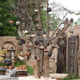 Ekaurr The Matka Tree living tree planted in a stone ring base surrounded by 100 handmade terracotta pots, one-of-a-kind sustainable botanical installation