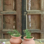 Ekaurr Mini Matki Terracotta Planters handmade by rural Indian women artisans in small matki pot form, earthy terracotta for succulent clusters or console styling