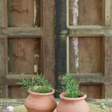 Ekaurr Mini Matki Terracotta Planters handmade by rural Indian women artisans in small matki pot form, earthy terracotta for succulent clusters or console styling