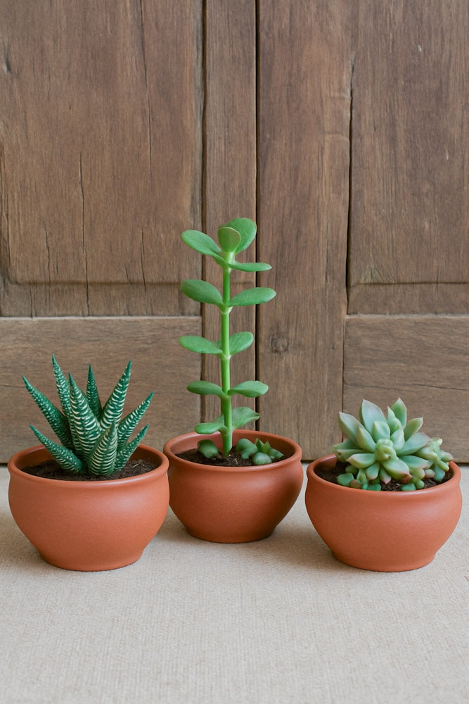 Ekaurr Mini Planter Trio set of 3 handmade terracotta planters by rural Indian artisans, small organic earthen pots for succulents, herbs or decorative display