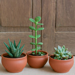 Ekaurr Mini Planter Trio set of 3 handmade terracotta planters by rural Indian artisans, small organic earthen pots for succulents, herbs or decorative display