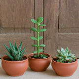 Ekaurr Mini Planter Trio set of 3 handmade terracotta planters by rural Indian artisans, small organic earthen pots for succulents, herbs or decorative display