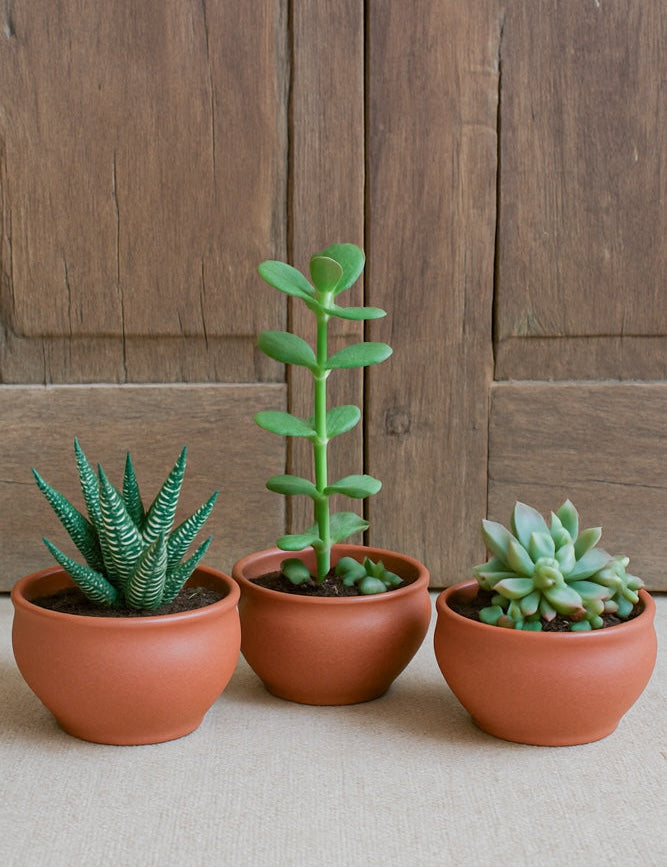 Ekaurr Mini Planter Trio set of 3 handmade terracotta planters by rural Indian artisans, small organic earthen pots for succulents, herbs or decorative display