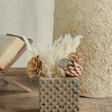 Ekaurr Print Block Planter crafted from vintage Indian hand-carved textile print block, versatile as a table planter or wall-mounted display with built-in hanging system
