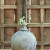 Ekaurr Purna Gola Terracotta Planter handmade by rural Indian women artisans in full rounded globe form, natural earthy terracotta for indoor or outdoor plant display