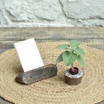 Ekaurr Rustic Miniature Gift Set curated artisan gift set including a reclaimed wood card holder and a vintage print block repurposed as a succulent or tealight holder with complimentary greeting card, thoughtful sustainable gifting for desks and home decor