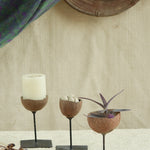 Ekaurr Set of 3 Multi-Purpose Coconut Shells on wooden stands, eco-friendly handcrafted decor usable as candle holders, planters or accent pieces