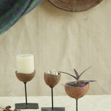 Ekaurr Set of 3 Multi-Purpose Coconut Shells on wooden stands, eco-friendly handcrafted decor usable as candle holders, planters or accent pieces