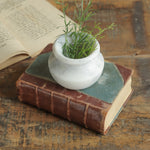 Ekaurr Small Marble Matki hand-carved grey veined marble traditional matki shape used as planter candy storage or standalone decorative accent
