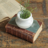 Ekaurr Small Marble Matki hand-carved grey veined marble traditional matki shape used as planter candy storage or standalone decorative accent