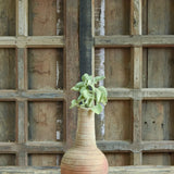 Ekaurr Surahi Form Terracotta Planter handmade by rural Indian women artisans in the slender long-necked surahi water vessel form, earthy natural terracotta home planter