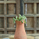 Ekaurr Thathera Cone Terracotta Pot handmade by rural Indian women artisans in tapered cone form inspired by traditional craftsmanship, earthy natural terracotta planter