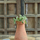Ekaurr Thathera Cone Terracotta Pot handmade by rural Indian women artisans in tapered cone form inspired by traditional craftsmanship, earthy natural terracotta planter
