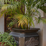 Ekaurr Vintage Brass Planter set of 2 large octagonal vessels with embossed floral medallions and aged patina, heirloom-quality statement planters for large indoor or sheltered outdoor plants