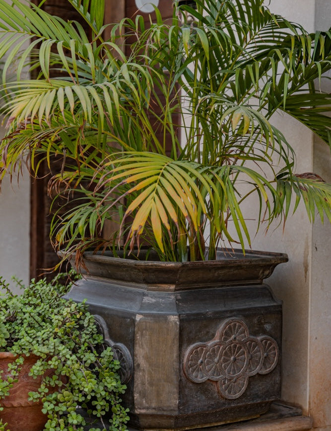 Ekaurr Vintage Brass Planter set of 2 large octagonal vessels with embossed floral medallions and aged patina, heirloom-quality statement planters for large indoor or sheltered outdoor plants