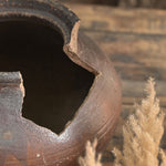 Ekaurr Vintage Enamel Pot – Styled as Indoor Plant Holder, Rustic Artisan Home Accent