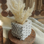 Ekaurr Whitewashed Print Block Table Planter repurposed vintage hand-carved Indian printing block in whitewashed finish used as small planter or pen stand