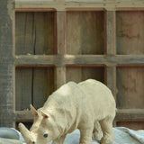 Ekaurr Wild Rhino handcrafted jute sculpture of a powerful rhino in a sturdy standing pose, earthy natural fibre wildlife figurine for home decor shelves and nature-inspired styling